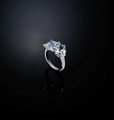 ANELLO PRINCESS